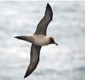 क्यूं निराश है आश ?-68.webp